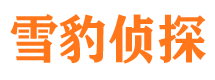 玄武侦探